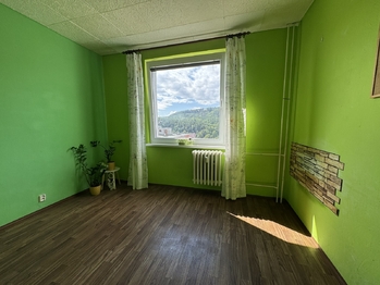 Prodej bytu 3+1 v družstevním vlastnictví 65 m², Děčín