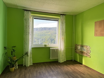 Prodej bytu 3+1 v družstevním vlastnictví 65 m², Děčín