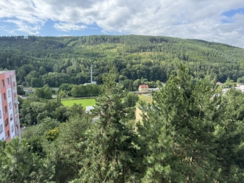 Prodej bytu 3+1 v družstevním vlastnictví 65 m², Děčín