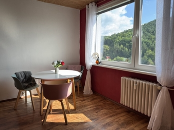 Prodej bytu 3+1 v družstevním vlastnictví 65 m², Děčín