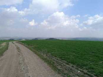 Prodej pozemku 10509 m², Ledce