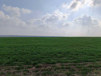 Prodej pozemku 10509 m², Ledce