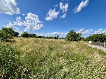 Prodej pozemku 1042 m², Veliká Ves
