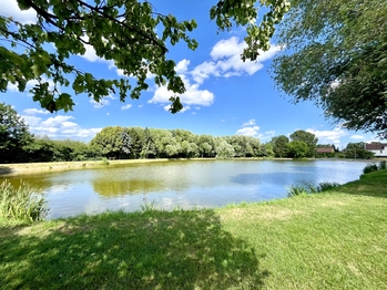 Prodej pozemku 1042 m², Veliká Ves