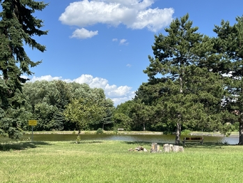 Prodej pozemku 1042 m², Veliká Ves