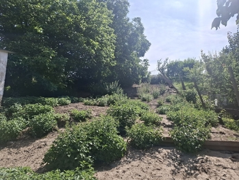 Prodej domu 170 m², Kyjovice