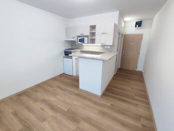 Pronájem bytu 1+kk v družstevním vlastnictví 20 m², Prachatice