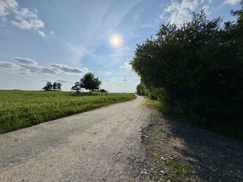 Prodej chaty / chalupy 50 m², Budišov