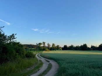 Prodej chaty / chalupy 50 m², Budišov
