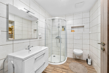 2+1: koupelna a WC - Prodej domu 267 m², Benešov nad Černou