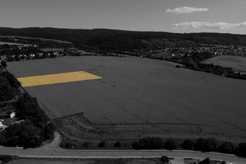 Prodej pozemku 1156 m², Viničné Šumice