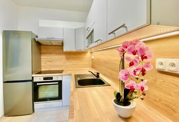 Pronájem bytu 1+1 v družstevním vlastnictví 33 m², Náchod