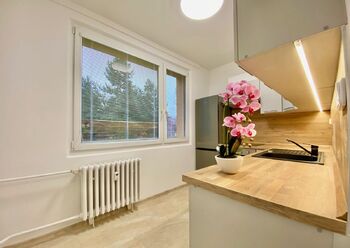 Pronájem bytu 1+1 v družstevním vlastnictví 33 m², Náchod