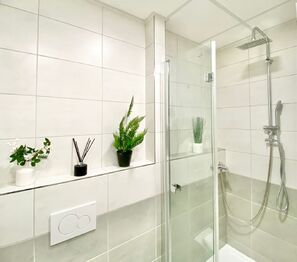 Pronájem bytu 1+1 v družstevním vlastnictví 33 m², Náchod