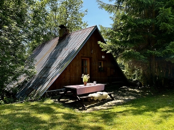 Prodej chaty / chalupy 140 m², Rokytnice v Orlických horách