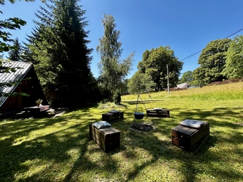 Prodej chaty / chalupy 140 m², Rokytnice v Orlických horách
