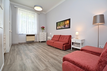 2. pokoj - Prodej bytu 2+kk v osobním vlastnictví 41 m², Praha 3 - Vinohrady