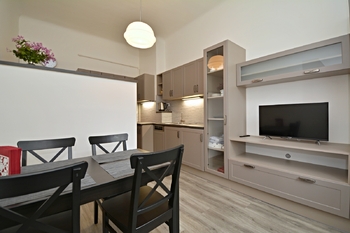 Obývací pokoj s kuchyňským koutem - Prodej bytu 2+kk v osobním vlastnictví 41 m², Praha 3 - Vinohrady 