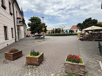 Prodej obchodních prostor 300 m², Doksy