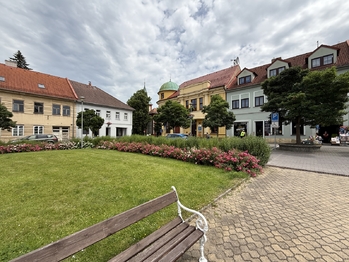 Prodej obchodních prostor 300 m², Doksy