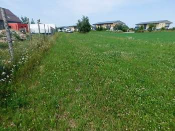 Prodej pozemku 4309 m², Lavičky