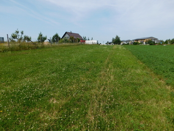 Prodej pozemku 4309 m², Lavičky