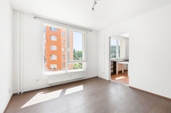 Prodej bytu 1+1 v osobním vlastnictví 46 m², Plzeň