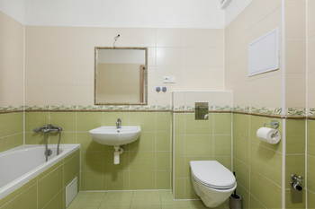 Prodej bytu 1+1 v osobním vlastnictví 46 m², Plzeň