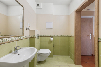 Prodej bytu 1+1 v osobním vlastnictví 46 m², Plzeň