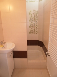 Pronájem bytu 1+1 v osobním vlastnictví 40 m², Plzeň