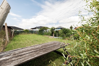 Zahrada v pronájmu. - Prodej bytu 3+1 v družstevním vlastnictví 83 m², Červená Řečice