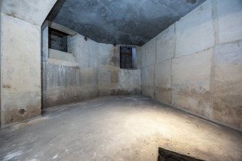 Velký sklep - Prodej obchodních prostor 100 m², Praha 3 - Žižkov