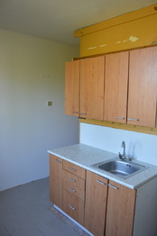 Prodej bytu 2+1 v družstevním vlastnictví 52 m², Bušanovice