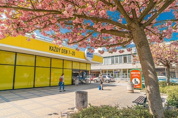 Prodej bytu 3+1 v osobním vlastnictví 63 m², Kladno