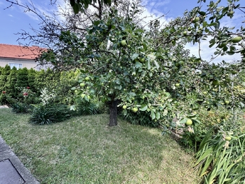 Prodej domu 130 m², Žatec