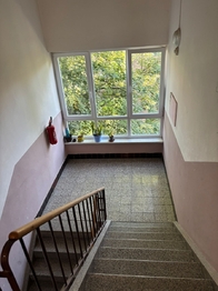 Pronájem bytu 1+1 v osobním vlastnictví 1620 m², Kladno