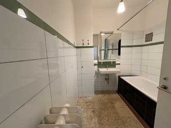 Prodej bytu 1+1 v osobním vlastnictví 50 m², Praha 3 - Žižkov