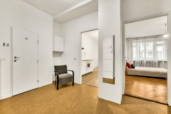 Prodej bytu 2+kk v osobním vlastnictví 50 m², Praha 3 - Žižkov