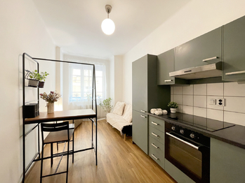 Pronájem bytu 1+1 v osobním vlastnictví 48 m², Praha 5 - Košíře