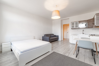 Pronájem bytu 1+kk v osobním vlastnictví 35 m², Praha 2 - Vinohrady