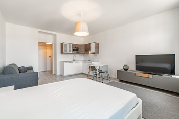 Pronájem bytu 1+kk v osobním vlastnictví 35 m², Praha 2 - Vinohrady