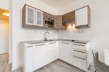 Pronájem bytu 1+kk v osobním vlastnictví 35 m², Praha 2 - Vinohrady