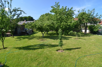 Prodej domu 195 m², Slapy