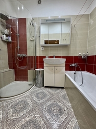 Prodej bytu 2+1 v osobním vlastnictví 57 m², Praha 7 - Holešovice