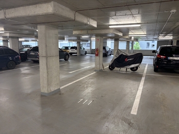 Pronájem bytu 2+kk v družstevním vlastnictví 13506 m², Liberec