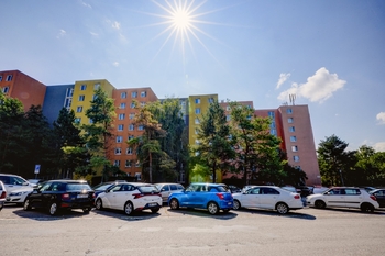 Prodej bytu 3+1 v družstevním vlastnictví 77 m², Brno