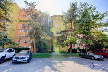 Prodej bytu 3+1 v družstevním vlastnictví 77 m², Brno