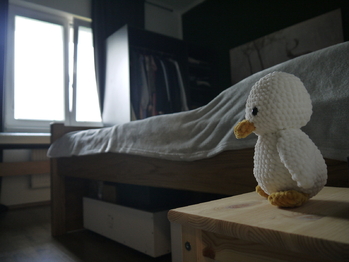 Pronájem bytu 2+kk v osobním vlastnictví 54 m², Hustopeče