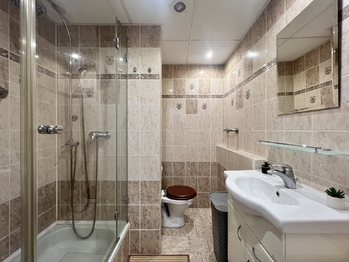 Prodej bytu 1+1 v družstevním vlastnictví 36 m², Chomutov