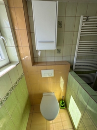 WC - Prodej domu 155 m², Kryry
